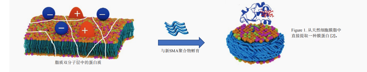 1634695326865045.png 微信圖片_20211020100313.png